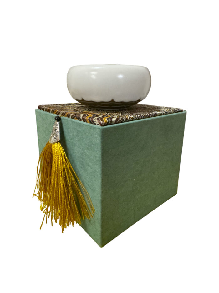 piala-lotos.jpg