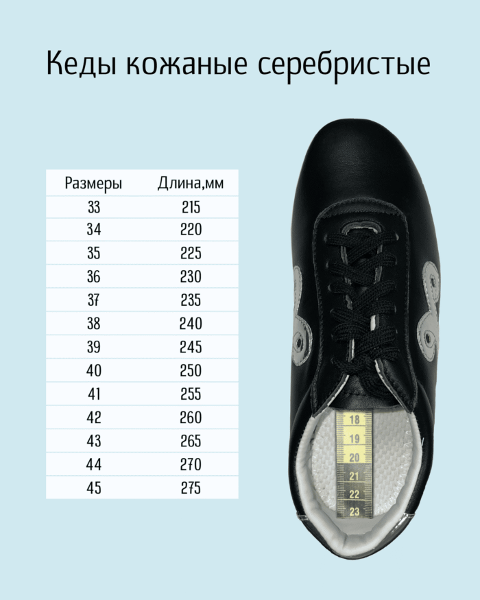 kedy-kozhanye-serebristye.png kedy-kozhanye-serebristye.png