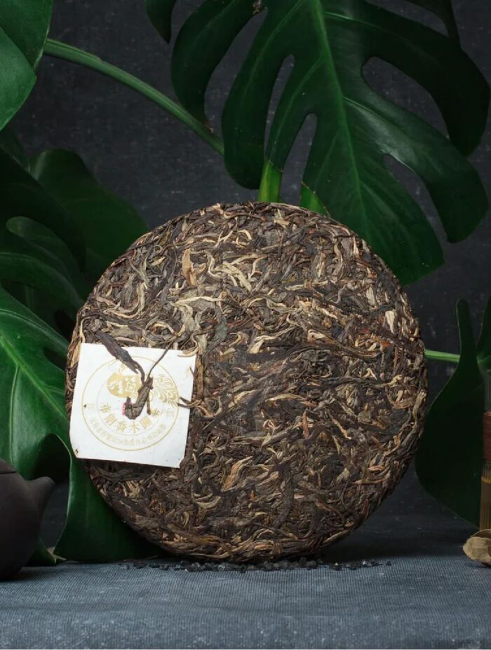 shen-puer-gu-cha-yuan-bulan-czyao-mu-357-gr-1.jpg shen-puer-gu-cha-yuan-bulan-czyao-mu-357-gr-1.jpg