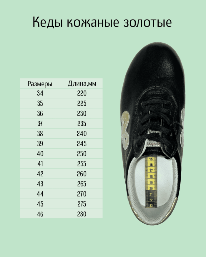 kedy-kozhanye.png kedy-kozhanye.png