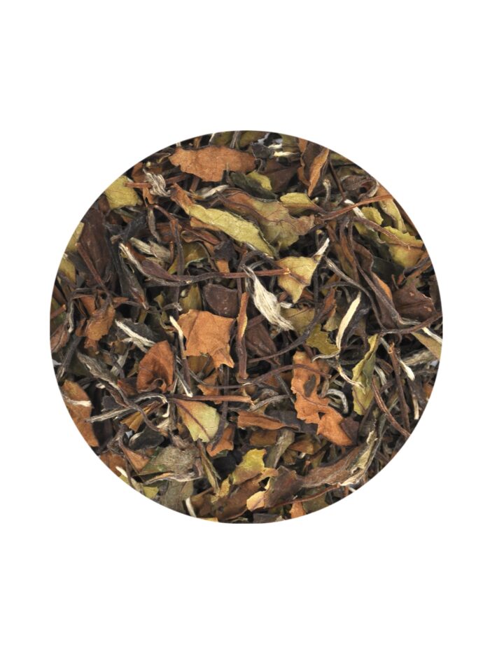 gun-mej-brovi-podnosheniya-2.jpg gun-mej-brovi-podnosheniya-2.jpg